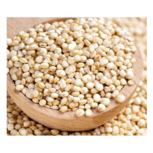 High Quality Organic Dry Quinoa  From China Top Suppliers